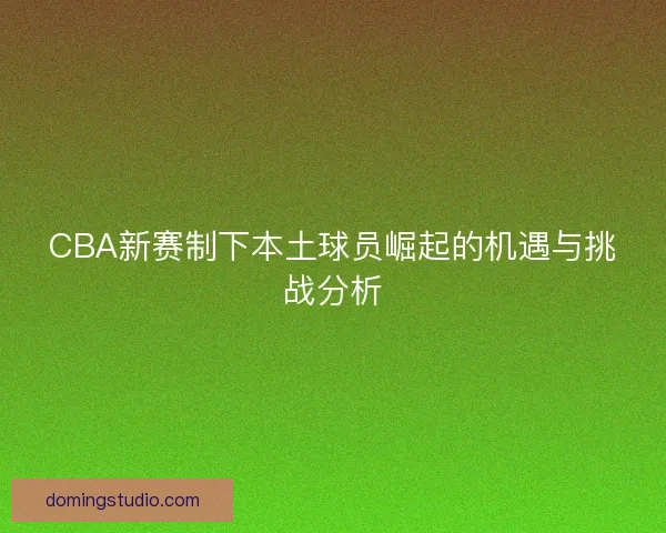 CBA新赛制下本土球员崛起的机遇与挑战分析