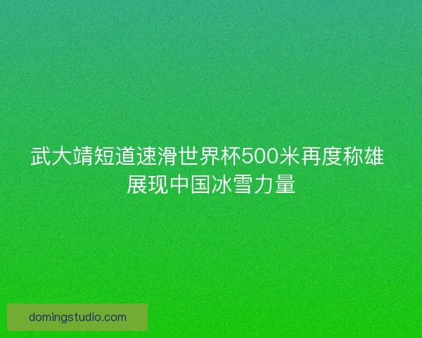 武大靖短道速滑世界杯500米再度称雄 展现中国冰雪力量